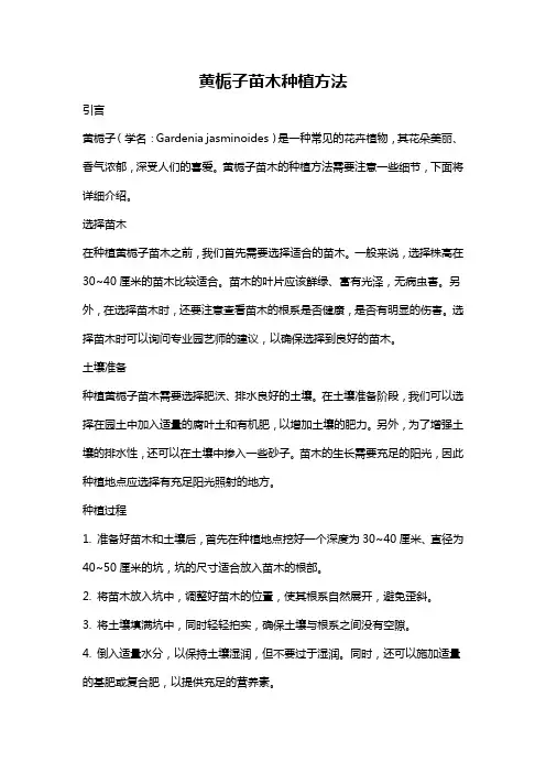黄栀子苗木种植方法
