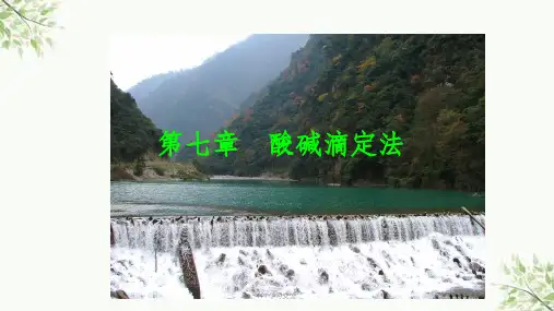 酸碱滴定法【酸碱滴定实验】课件