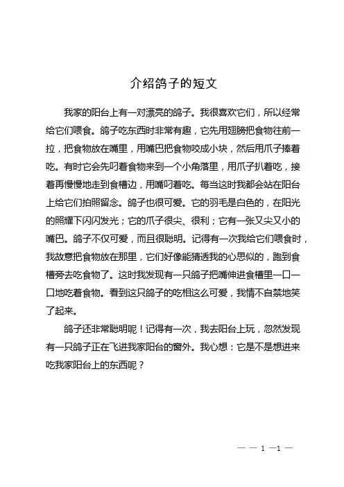介绍鸽子的短文
