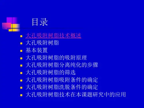 最新大孔树脂技术1ppt课件