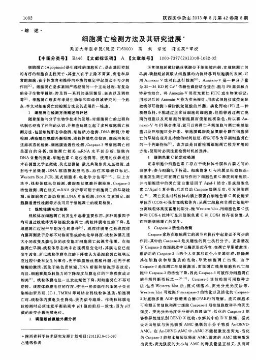 细胞凋亡检测方法及其研究进展