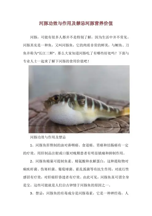 河豚功效与作用及禁忌 河豚营养价值