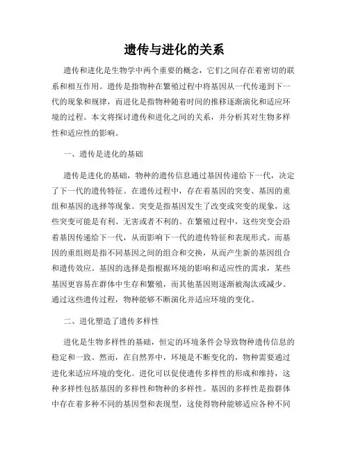 遗传与进化的关系