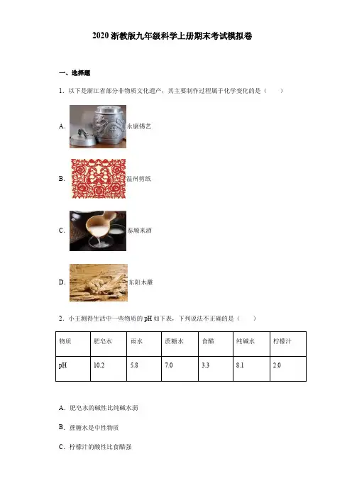 学年浙教版九年级科学上册期末考试模拟卷（word版，含详解）