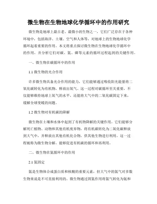 微生物在生物地球化学循环中的作用研究