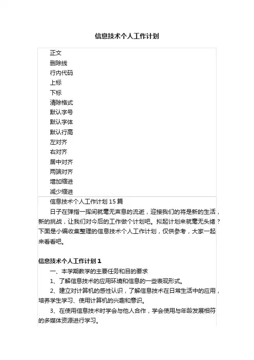 信息技术个人工作计划