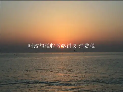 财政与税收教学讲义消费税