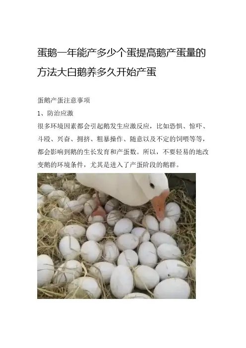 蛋鹅一年能产多少个蛋提高鹅产蛋量的方法大白鹅养多久开始产蛋