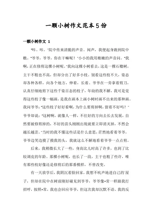 一颗小树作文范本5份