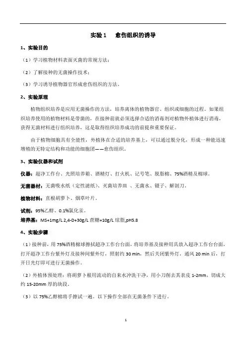 实验1   愈伤组织的诱导