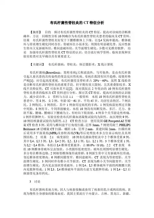 布氏杆菌性脊柱炎的CT特征分析