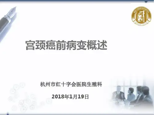 宫颈癌前病变概述(HPV)