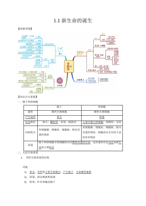 1.1新生命的诞生(原卷版+解析)