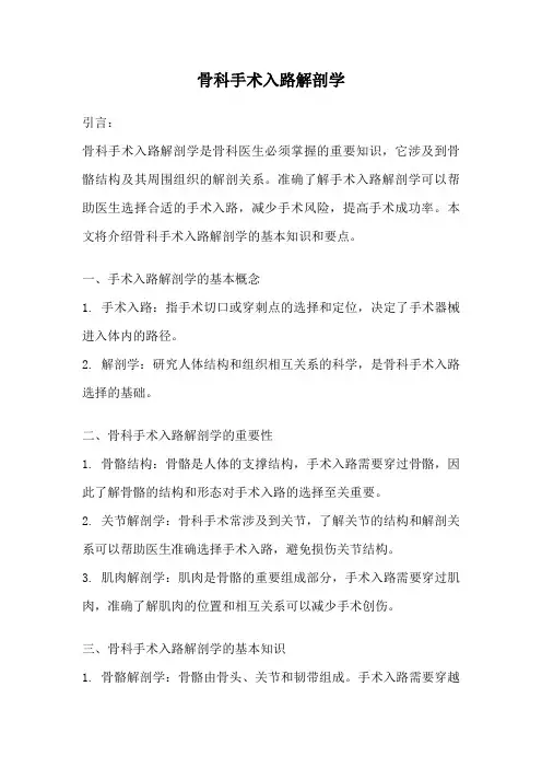 骨科手术入路解剖学