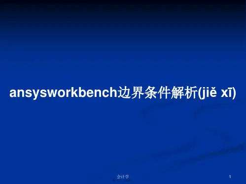 ansysworkbench边界条件解析学习教案
