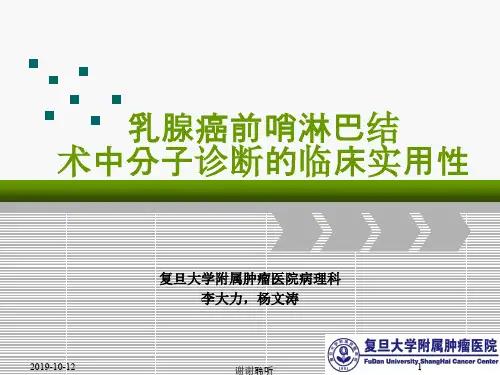 复旦大学附属肿瘤医院病理科李大力,杨文涛.ppt