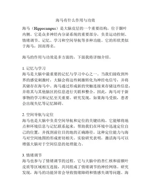 海马有什么作用与功效