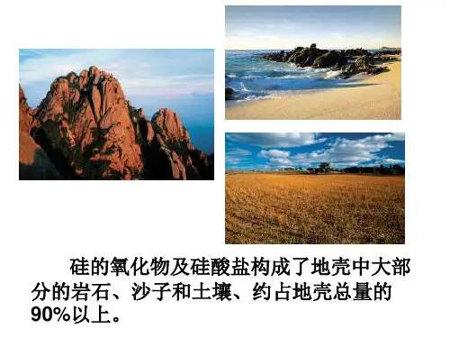 硅与二氧化硅课件.ppt