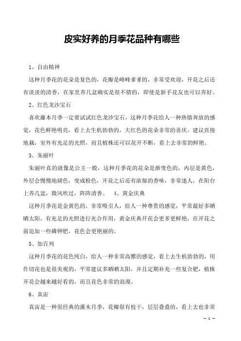 皮实好养的月季花品种有哪些