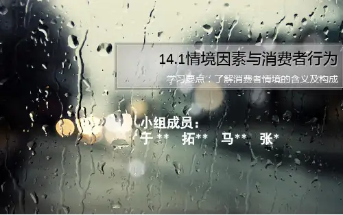 情境因素与消费者行为学解析