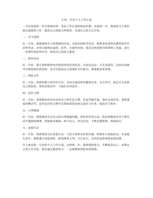 小班一月份个人工作计划