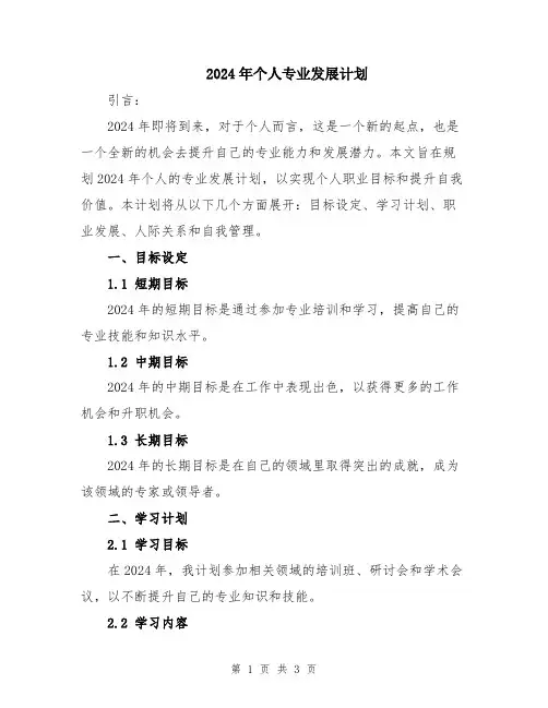 2024年个人专业发展计划