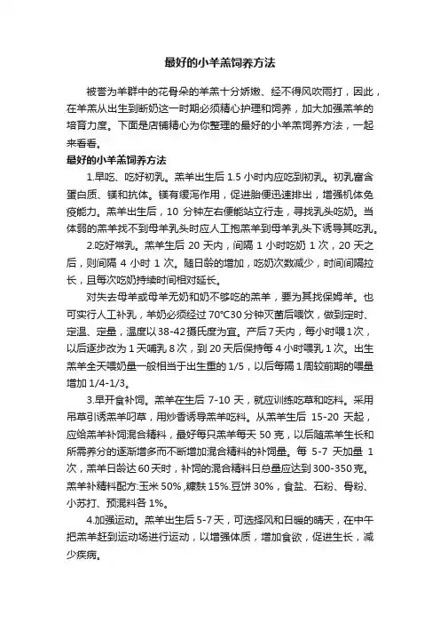最好的小羊羔饲养方法