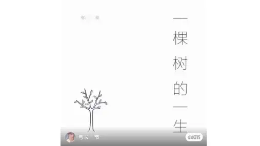 5.1 让友谊之树常青(精美课件)