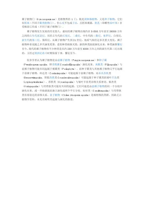 裸子植物门