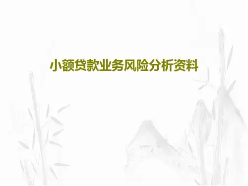 小额贷款业务风险分析资料PPT35页