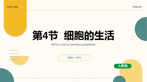 2023-2024部编版七年级生物上册214第4节细胞的生活pptx