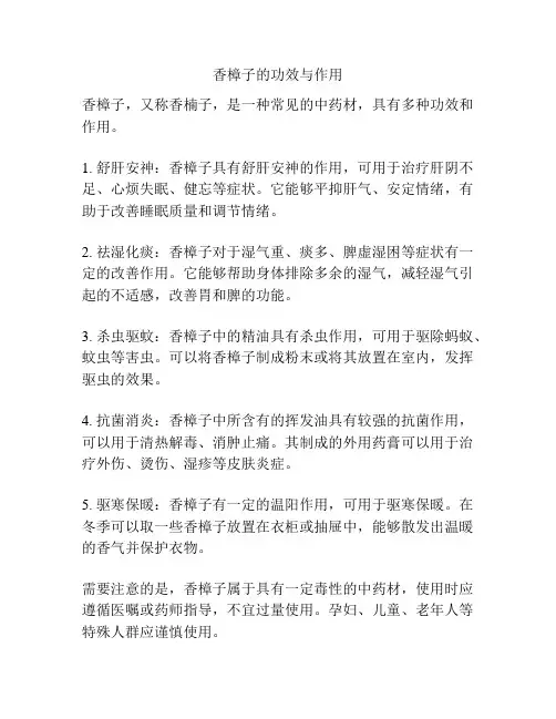 香樟子的功效与作用