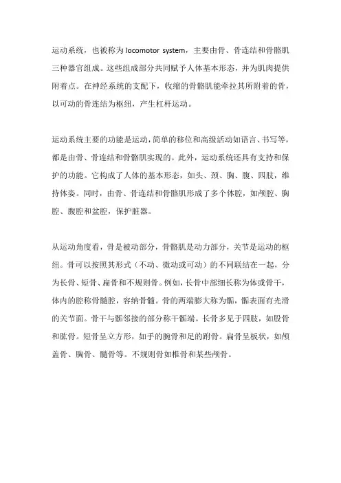 运动系统的概念