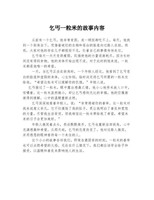乞丐一粒米的故事内容