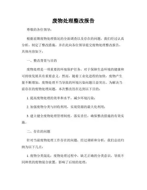 废物处理整改报告