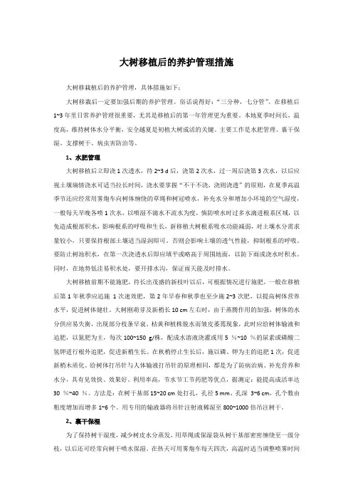 大树移栽养护管理措施