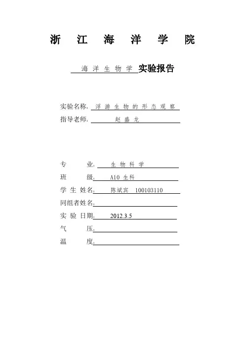 海洋生物学实验报告