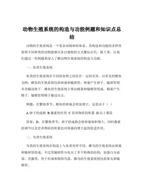 动物生殖系统的构造与功能例题和知识点总结