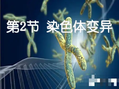 5.2 染色体变异(共35张PPT)