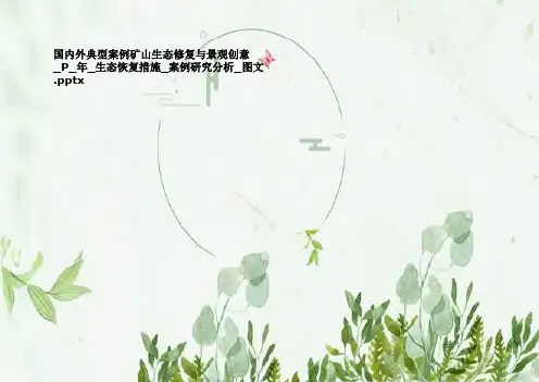 国内外典型案例矿山生态修复与景观创意_P_年_生态恢复措施_案例研究分析_图文