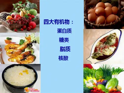 细胞中的糖类和脂质(共45张PPT)