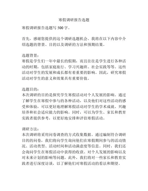 寒假调研报告选题
