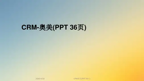 CRM奥美(PPT 36页)