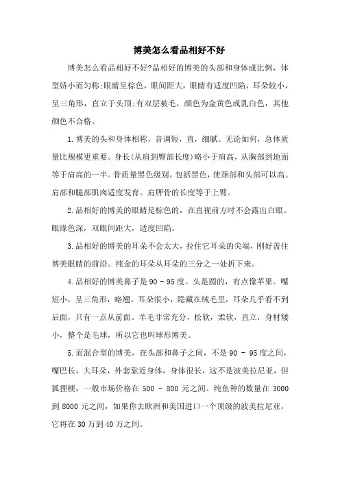 博美怎么看品相好不好