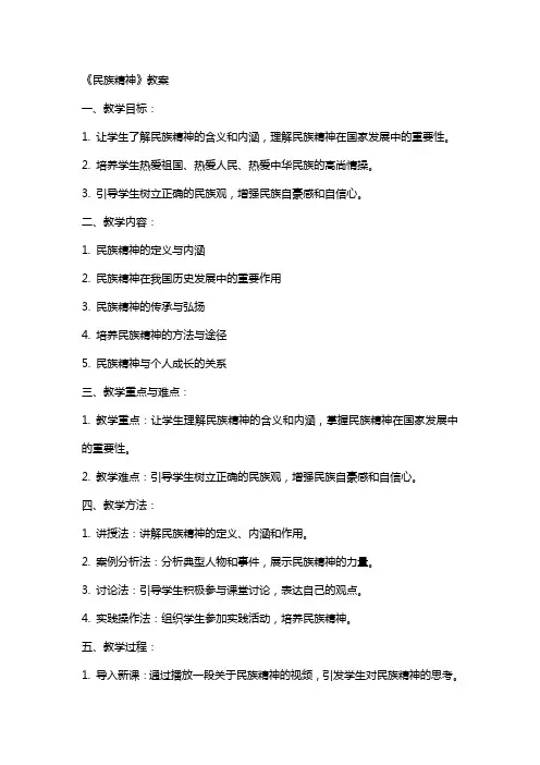《民族精神》教案