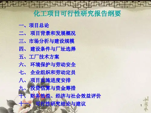 可行性研究报告例子PPT优秀课件