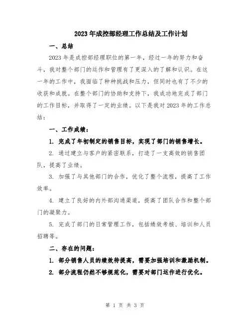 2023年成控部经理工作总结及工作计划
