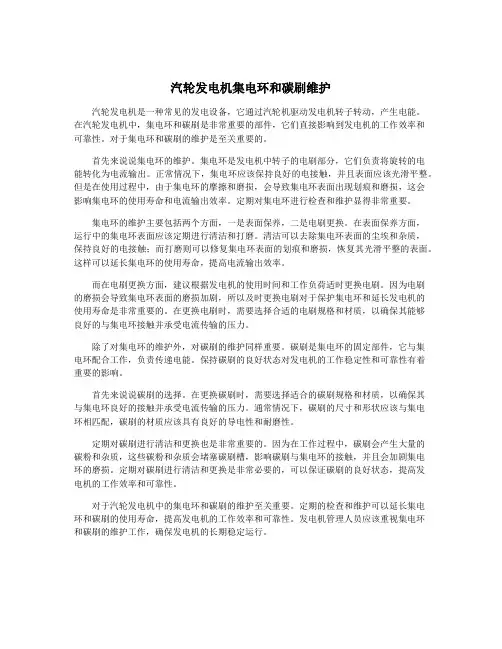 汽轮发电机集电环和碳刷维护