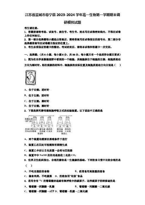 江苏省盐城市阜宁县2023-2024学年高一生物第一学期期末调研模拟试题含解析