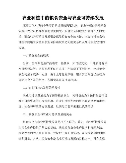 农业种植中的粮食安全与农业可持续发展